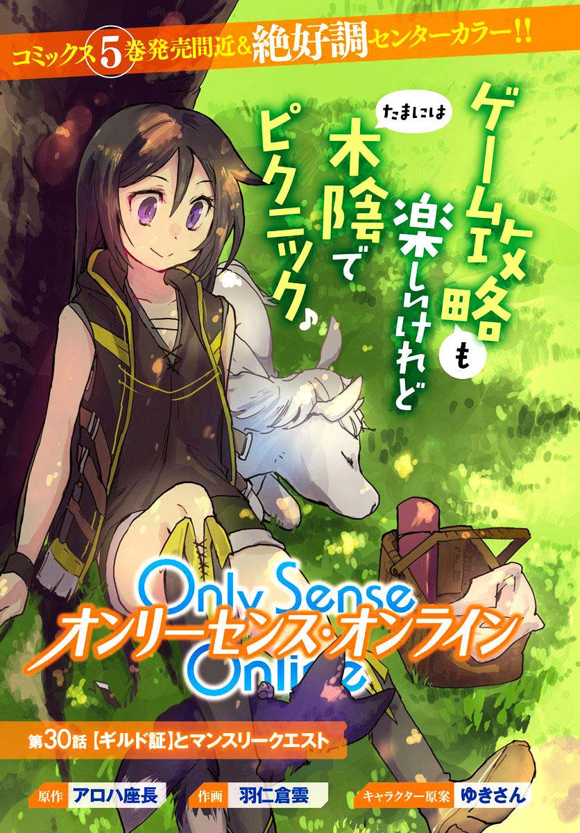 Only Sense Online Chapter 30