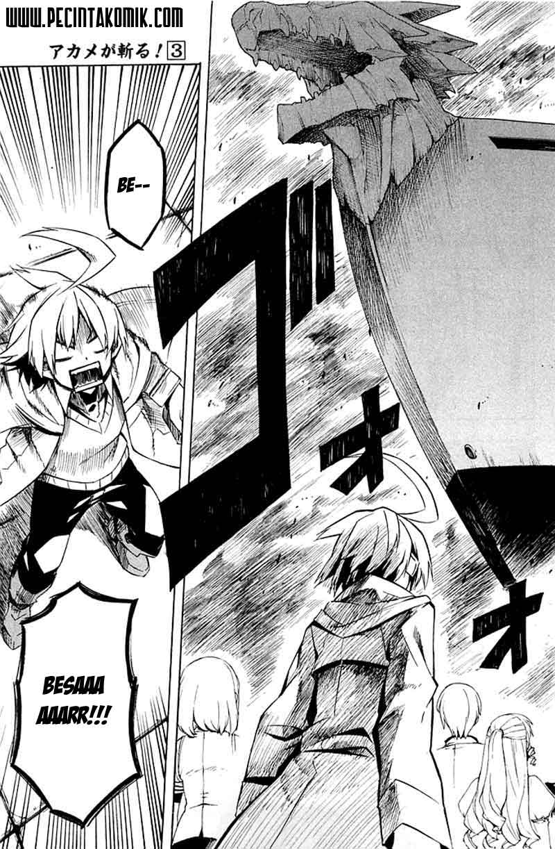 Akame ga Kiru! Chapter 11