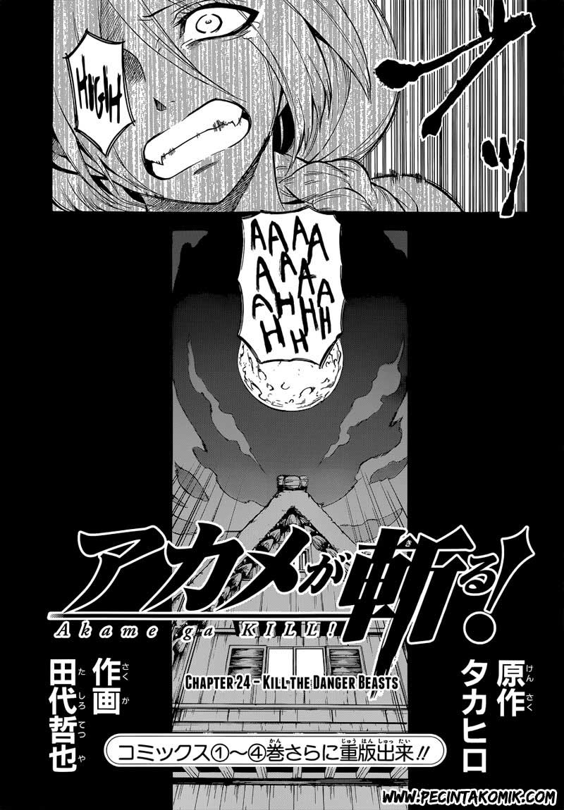 Akame ga Kiru! Chapter 24