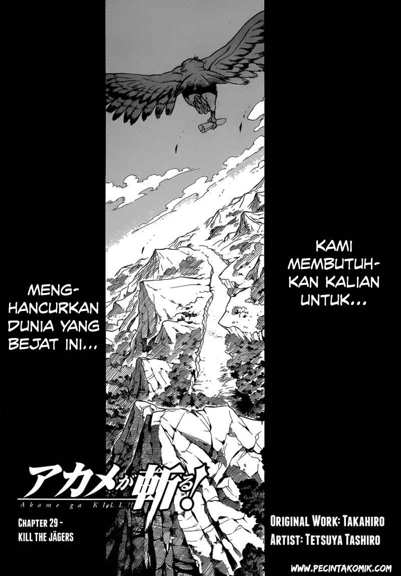 Akame ga Kiru! Chapter 29