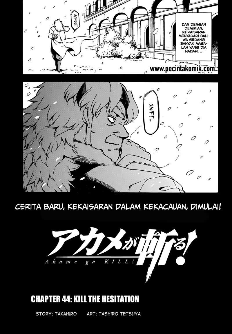Akame ga Kiru! Chapter 44