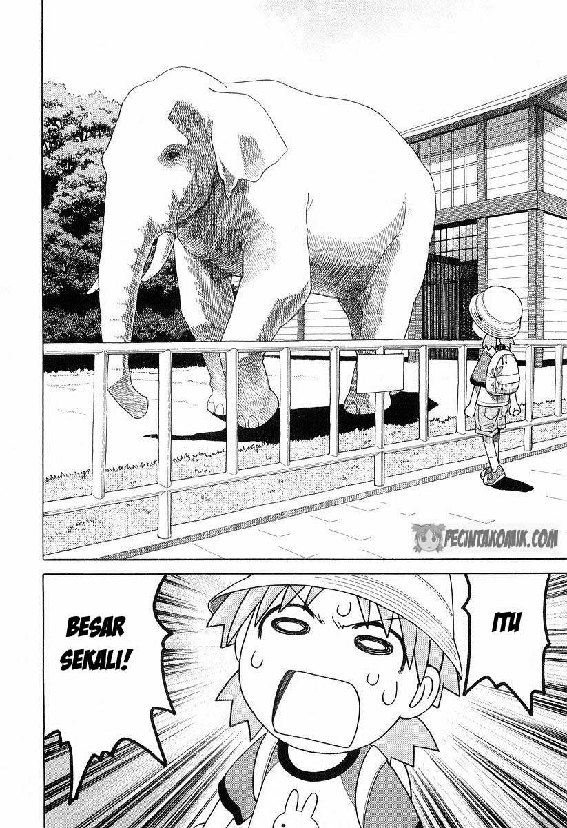 Yotsubato! Chapter 19