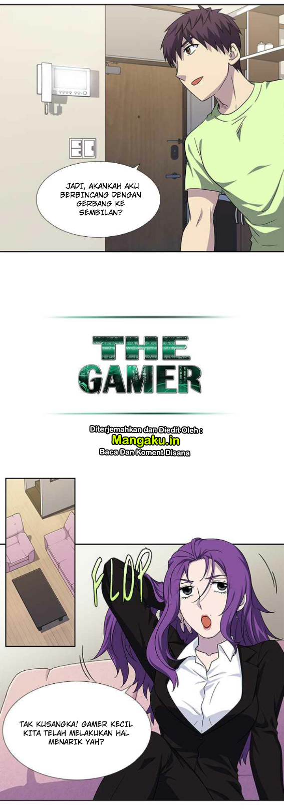 The Gamer Chapter 300