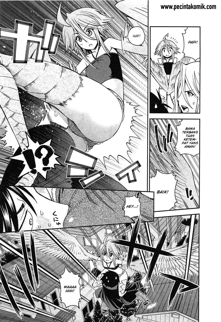 Monster Musume no Iru Nichijou Chapter 24