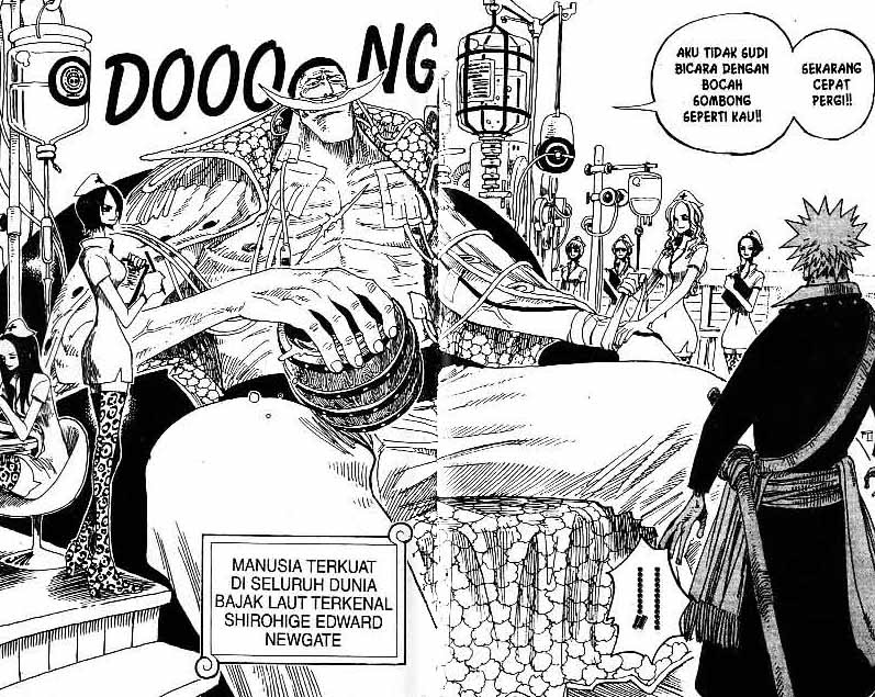 One Piece Chapter 234