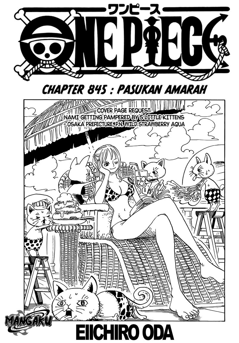 One Piece Chapter 845